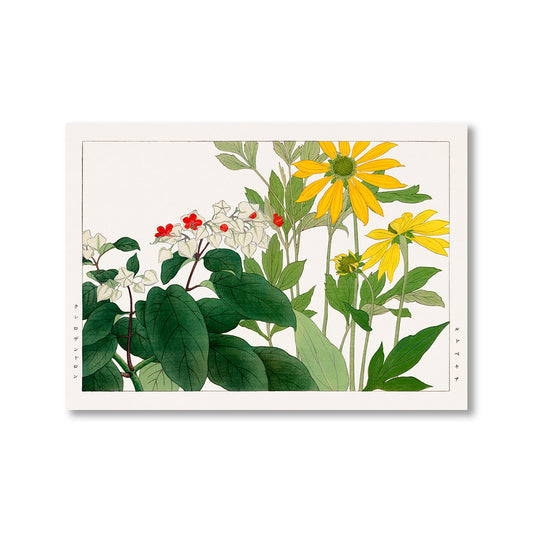 Clerodendrum Rudbeckia Flower by Tanigami Konan