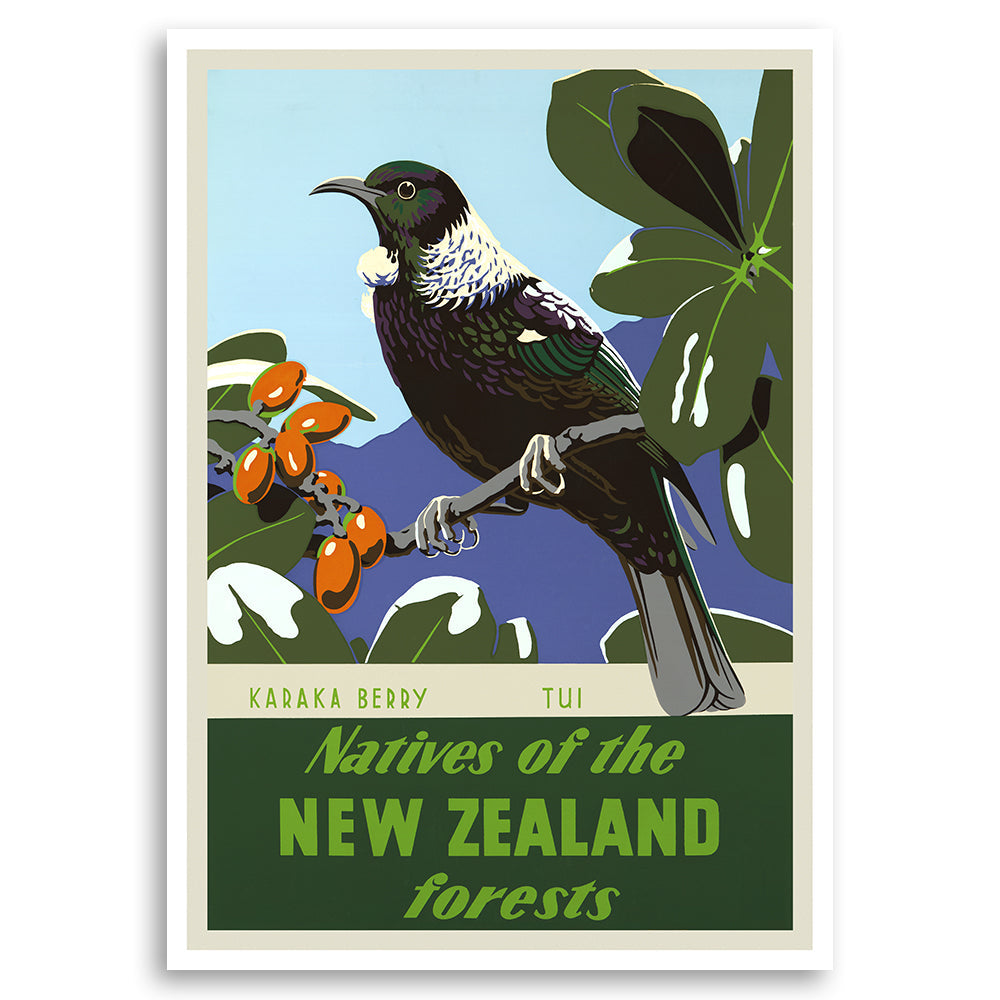 Karaka Berry and Tui - Natives of the New Zealand Forests