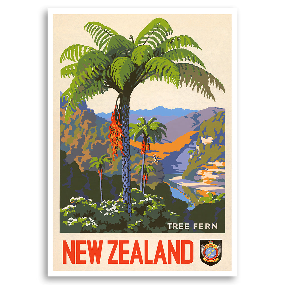 Tree Fern New Zealand